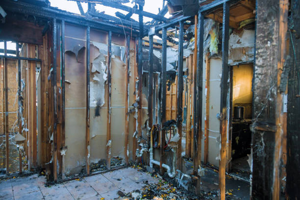 Professional Odor Removal technician working in Hermann, MO